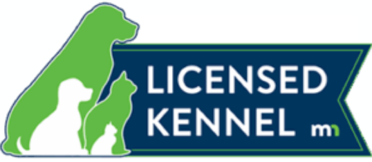 Minnesota Licensed Kennel
